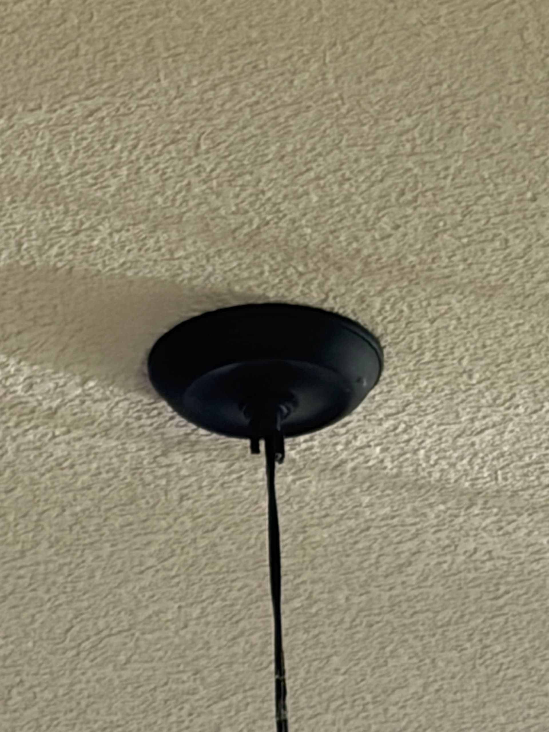 Same-Day Chandelier Replacement on a 20-Foot Ceiling in Maple Grove image
