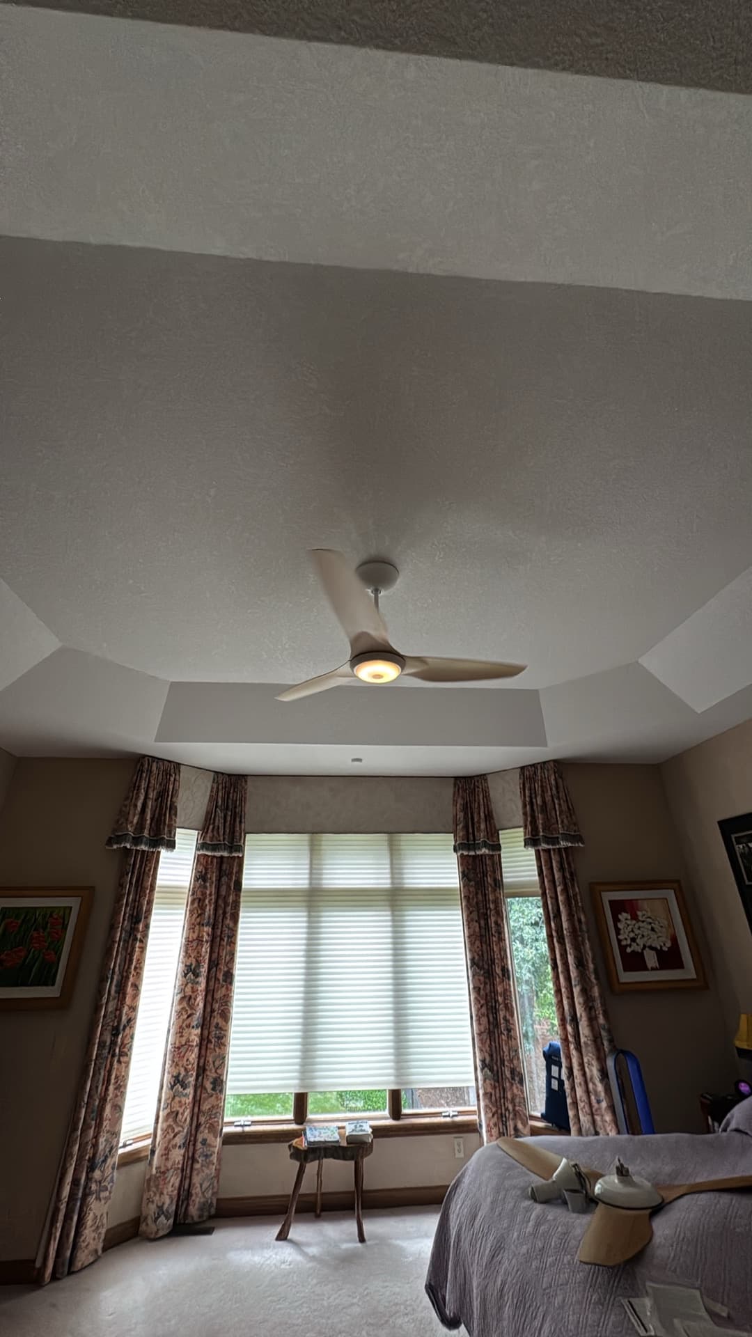 Custom Lighting and Ceiling Fan Installation Throughout a Stunning Home image